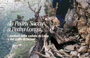 Andalas2_dettB