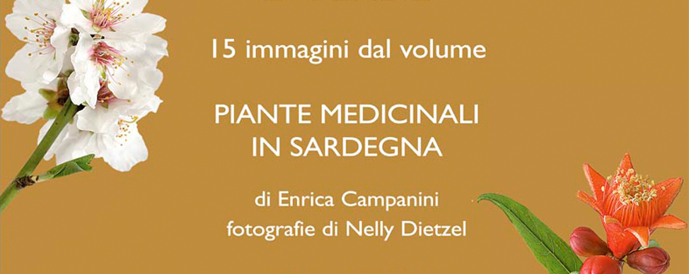 Piante medicinali