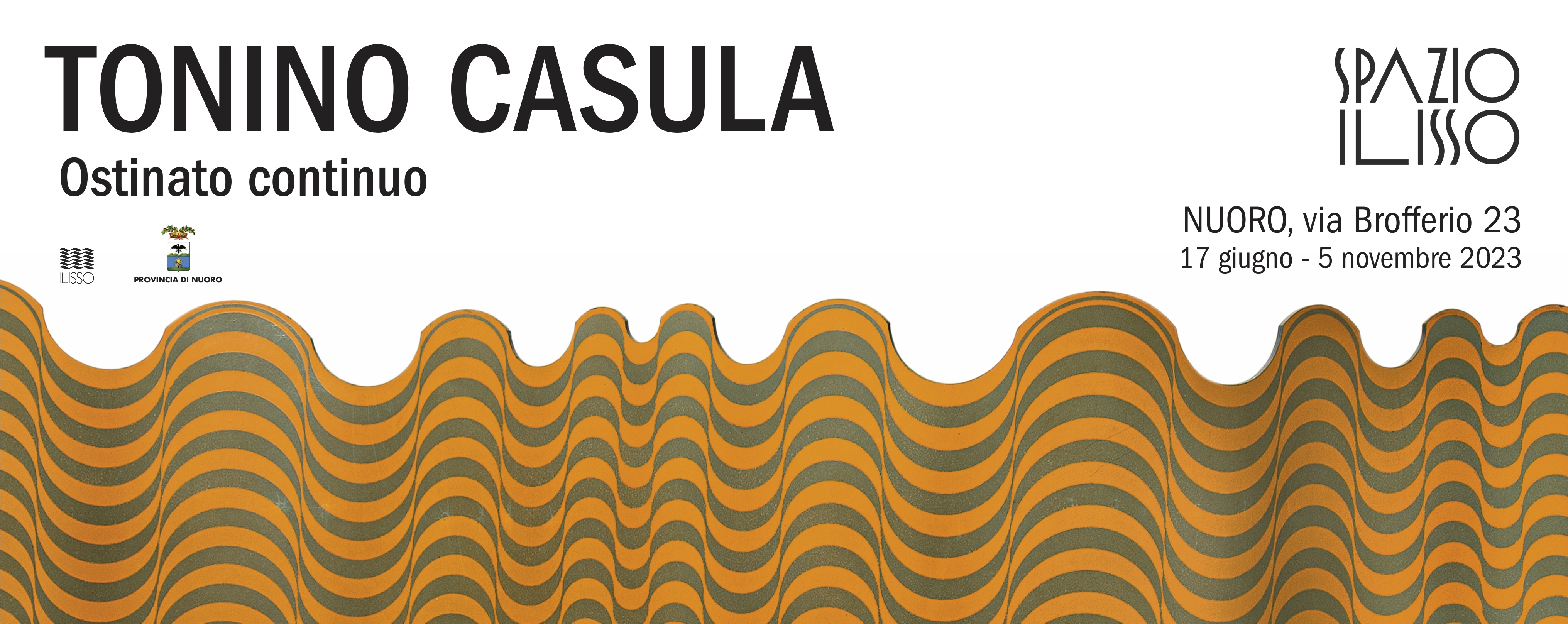 Banner sito Tonino Casula